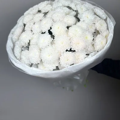 Букет из 15 белых хризантем "Алтай"