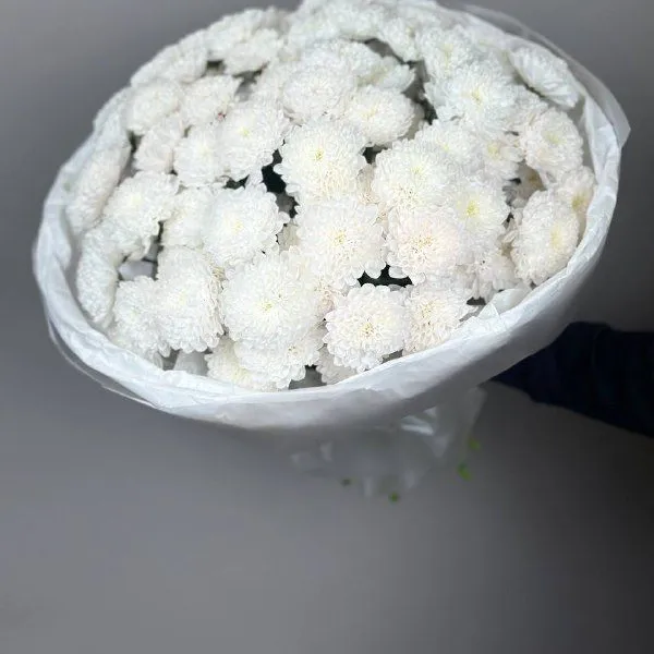 Букет из 15 белых хризантем "Алтай"