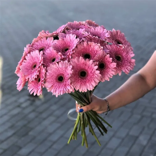 Букет из 25 малиновых гербер