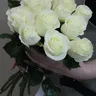 11 белых роз "Мондиаль" 50 см 2