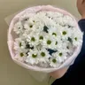 Букет из кустовых хризантем "Бакарди" М 2