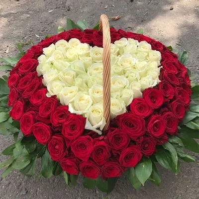 Корзина из 101 красно-белой розы "Сердце"