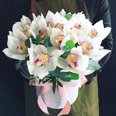 Шляпная коробка из 15 белых орхидей