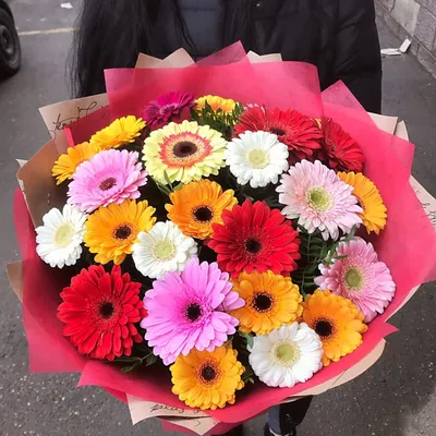 Букет из 25 гербер в оформлении