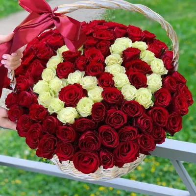 Корзина из 101 розы "Юбилейная 60 "