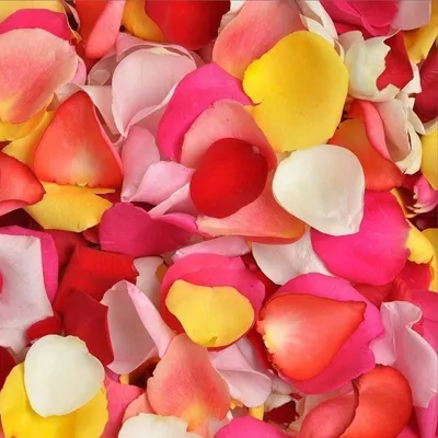 Лепестки роз 2 литра