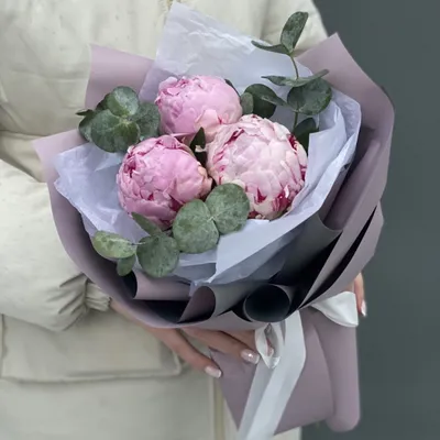 Букет из 3 пионов с эвкалиптом  в оформлении