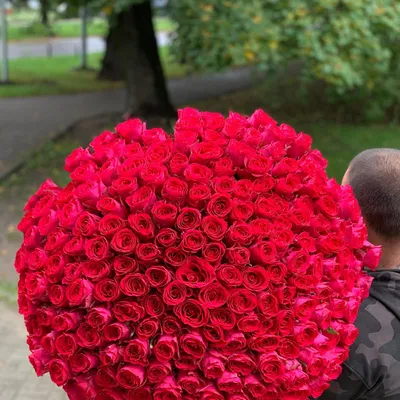 Букет из 201 розовой розы 60 см