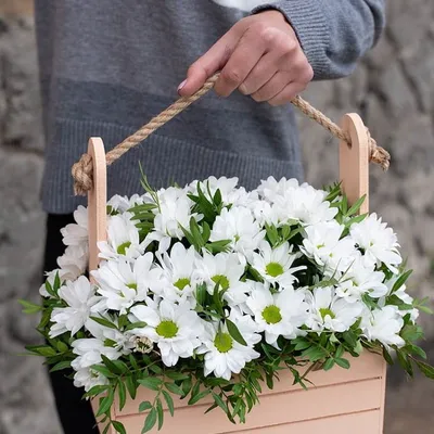 Деревянный ящик с белой хризантемой