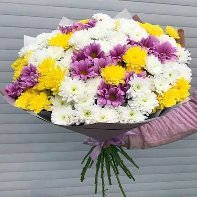 Букет из 25 хризантем микс в оформлении