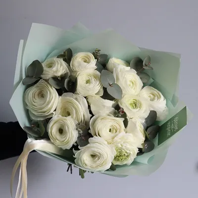Букет из 15 белых ранункулюсов