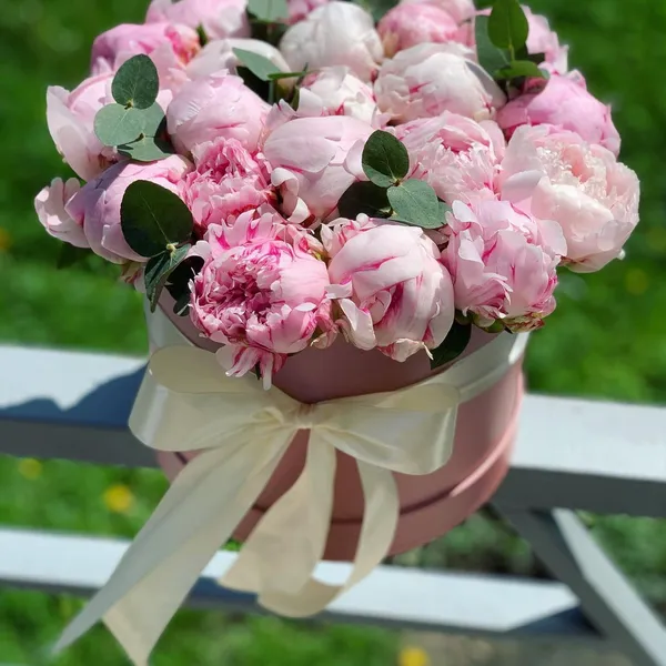 21 розовый пион "Сара Бернар" в шляпной коробке