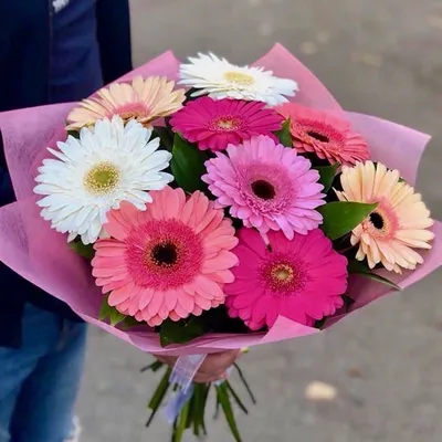 Букет из 9 нежных гербер в оформлении