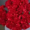 Букет траурный из 20 красных гвоздик 2