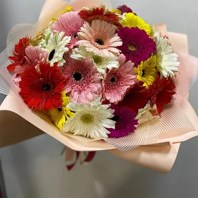 Букет из 31 герберы в оформлении