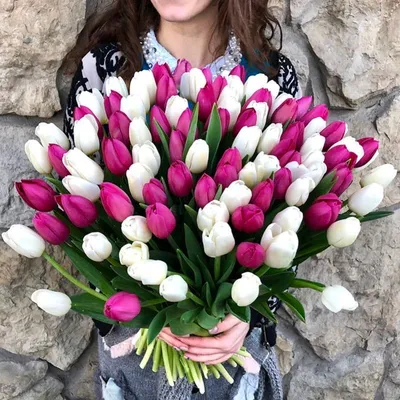 Букет из 101 белого и розового тюльпана