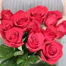 Букет 11 красных роз "Эксплорер" 60 см 2
