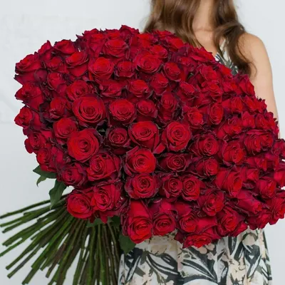 Букет из 101 красной розы "Эксплорер" 60 см
