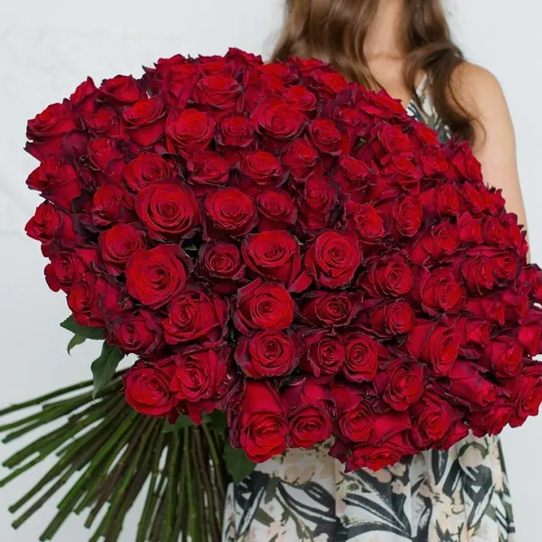 Букет из 101 красной розы "Эксплорер" 60 см