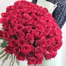 Букет из 101 красной розы "Эксплорер" 50 см 2