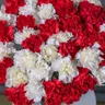 Букет траурный из 20 красных и белых гвоздик 2