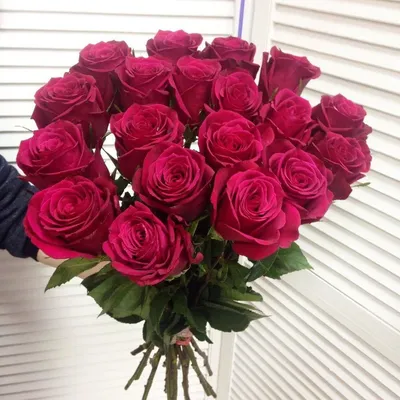 Букет из 19 розовых роз "Готча" 60 см