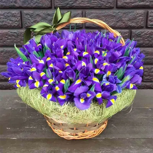 101 ирис в корзине с оформлением
