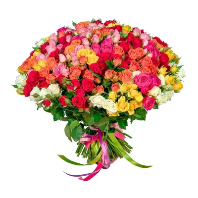 Букет из 101 кустовой розы микс
