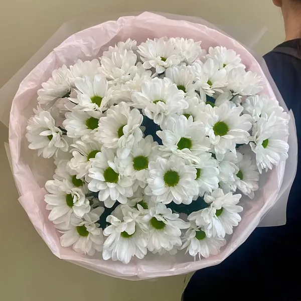 Букет из кустовых хризантем "Бакарди" М