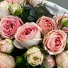 Букет из кустовых роз "Пудра М" 2