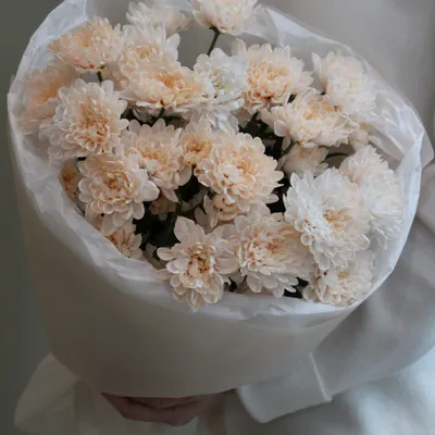 Букет из 5 персиковых хризантем.