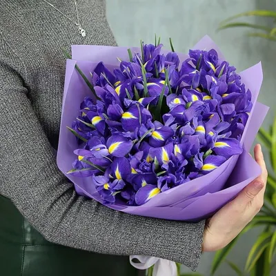 Букет из 21 ириса в оформлении