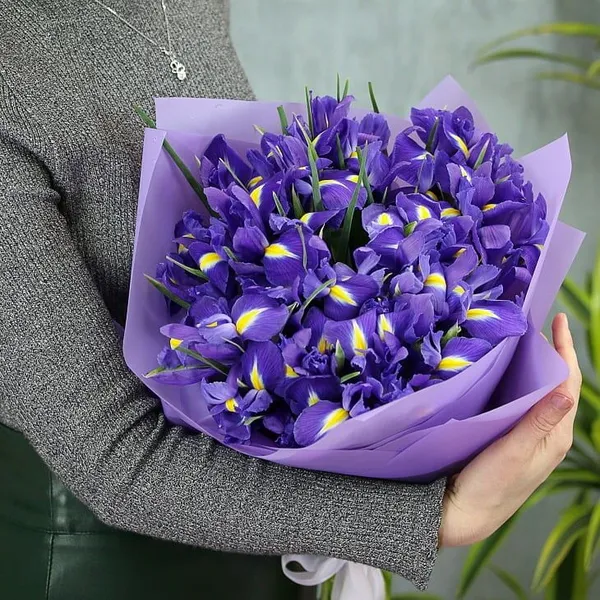 Букет из 21 ириса в оформлении