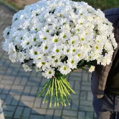 Букет из 25 белых кустовых хризантем