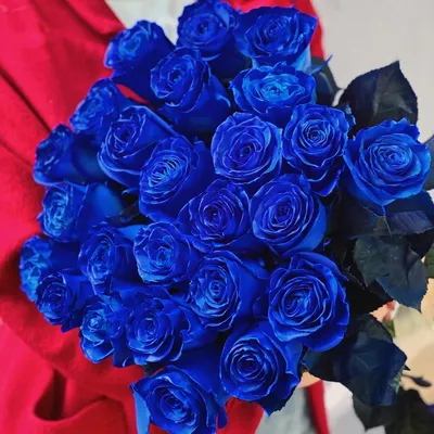 Букет из 25 синих роз