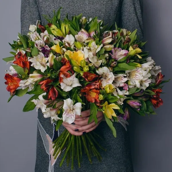 Букет из 35 альстромерий микс