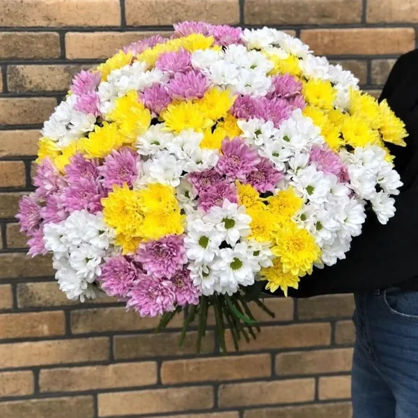 Букет из 35 кустовых хризантем микс