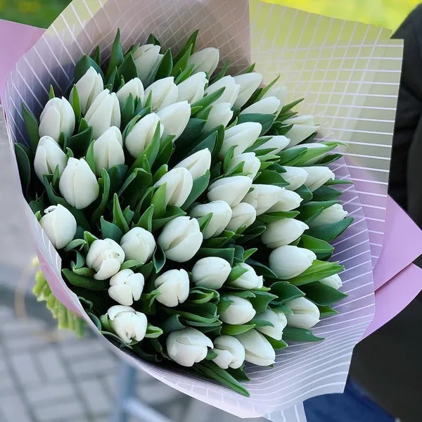Букет из 55 белых тюльпанов в оформлении